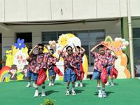 花开忆童年 梦想再起航