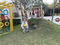 小小兵魂·爱国征途