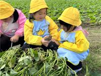 “薯”与“泥”的童年