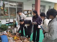 “环”美自然，“境”润童心